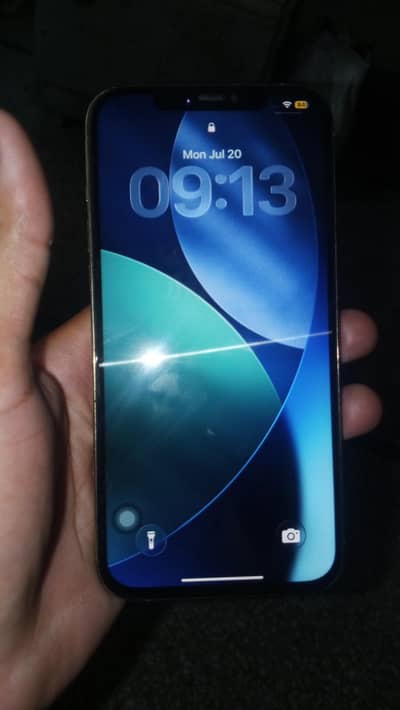 Apple iPhone 12 Pro Max