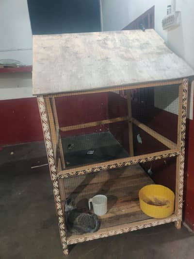 birds cage