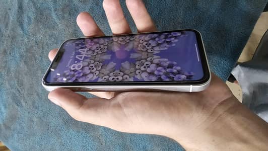 Xr to 17promix All ok 128gb total geniun One week check warranty 10/10