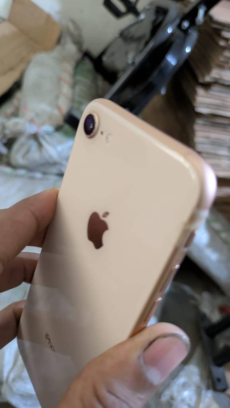 Apple iPhone 8 13