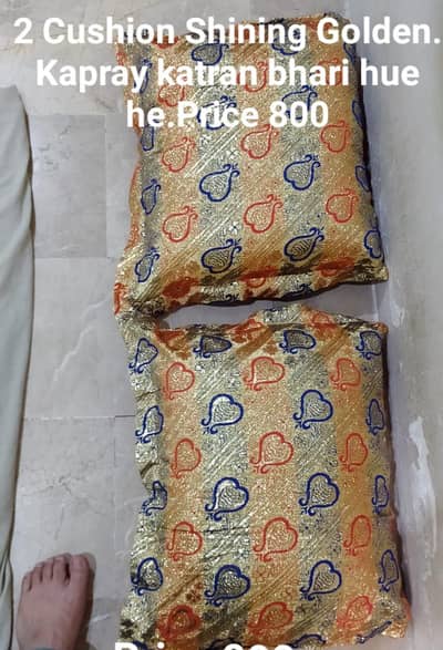 2 Floor Cushion hen Shining Golden