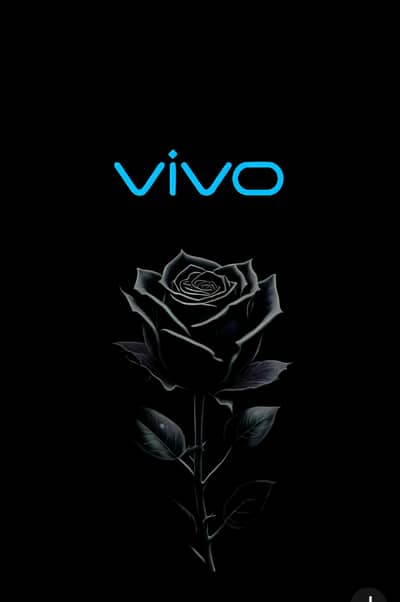 Vivo Y19s
