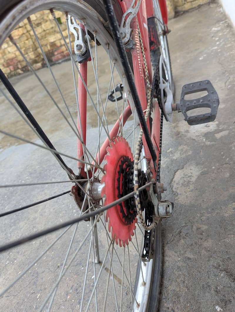 Royal Bicycle 1