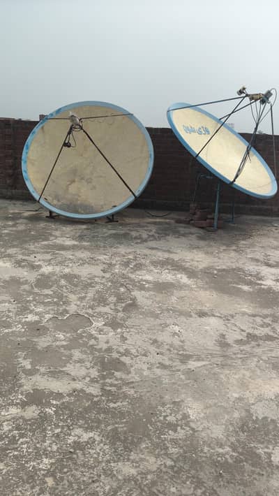 Fiber Dish