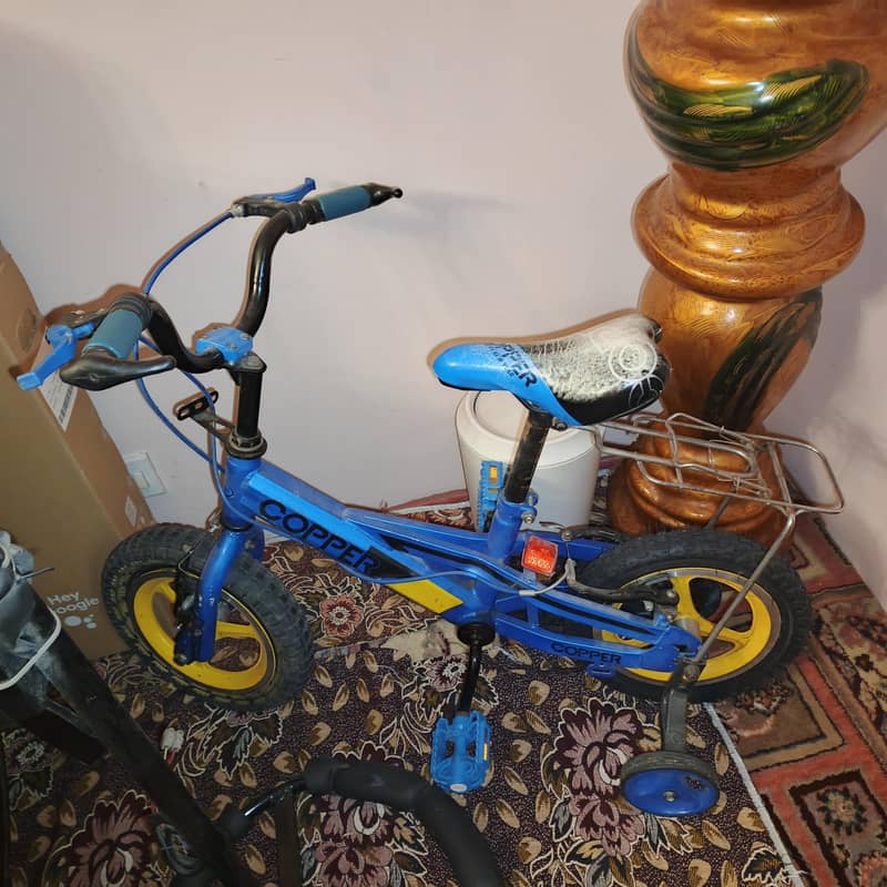 Bicycle 0