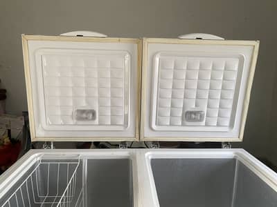 waves doubble door freezer