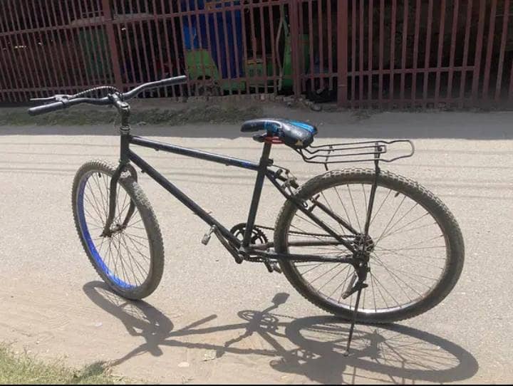 giant cycle 0