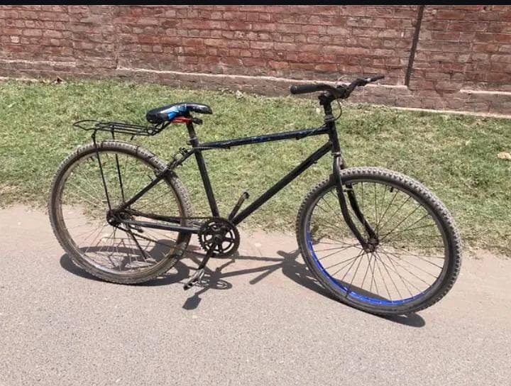 giant cycle 1