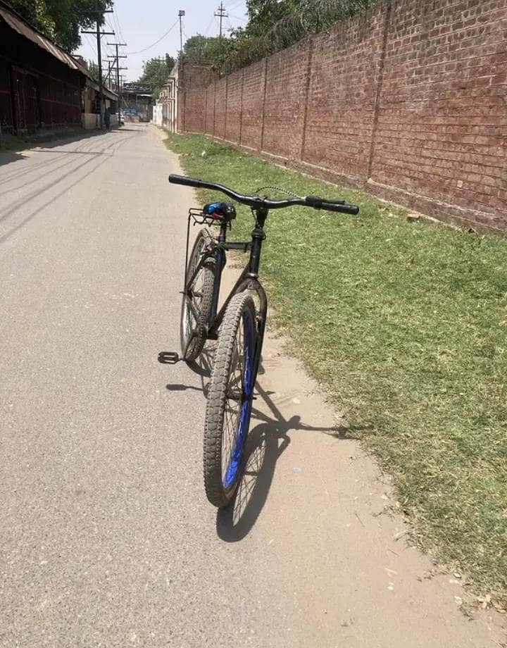 giant cycle 2