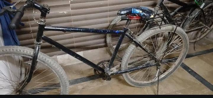giant cycle 4