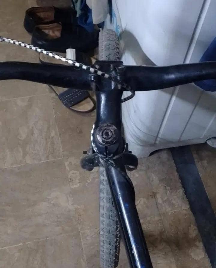 giant cycle 6