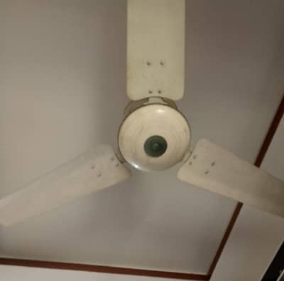 Ceiling Fans