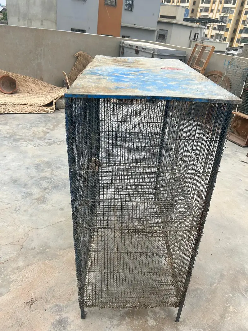 Heavy Iron Birds & Hen Cage / 2 Portion Cage for Sale — photo 2