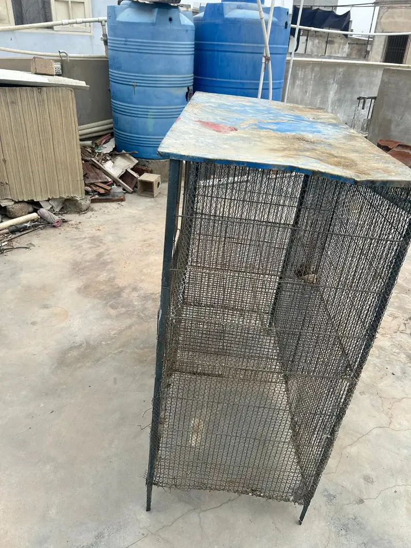 Heavy Iron Birds & Hen Cage / 2 Portion Cage for Sale — photo 3