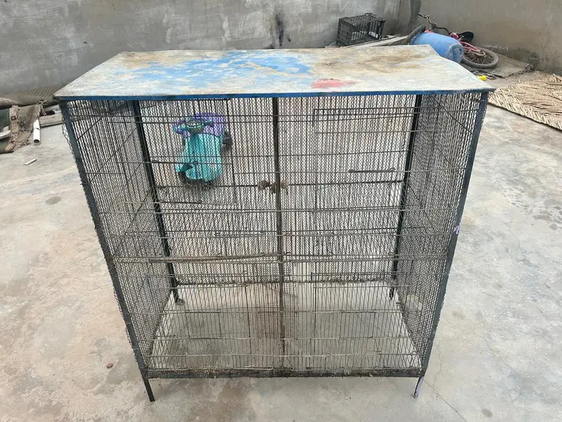 Heavy Iron Birds & Hen Cage / 2 Portion Cage for Sale — photo 4