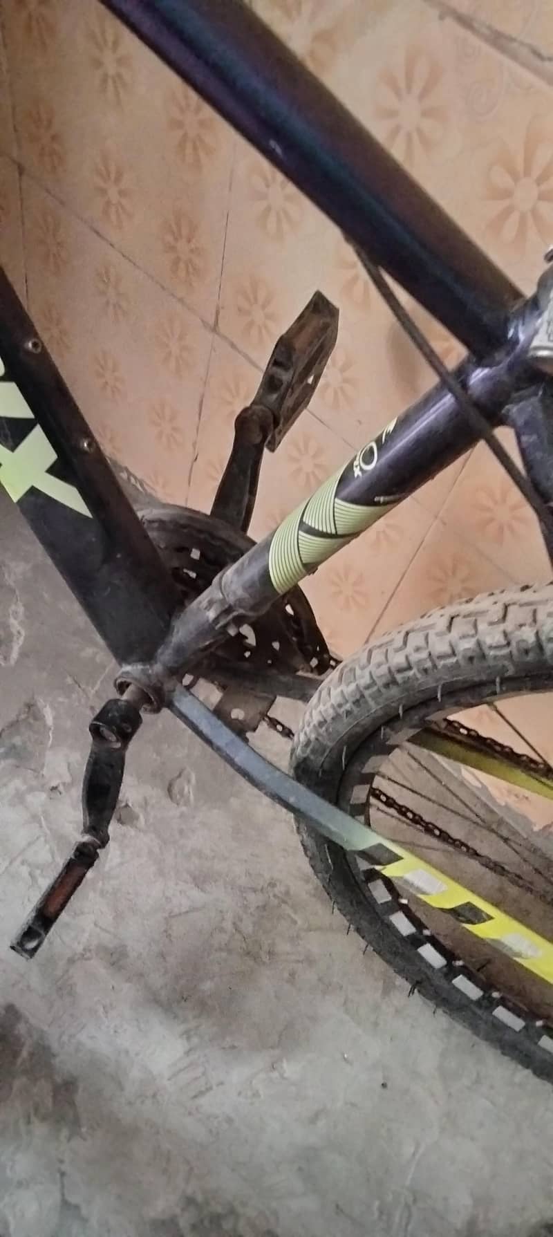 Bicycle 2