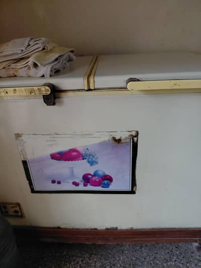 freezer waves big size with wooden stand