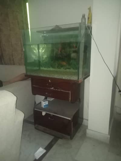 aquarium