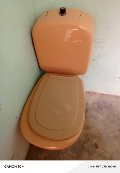 western toilet