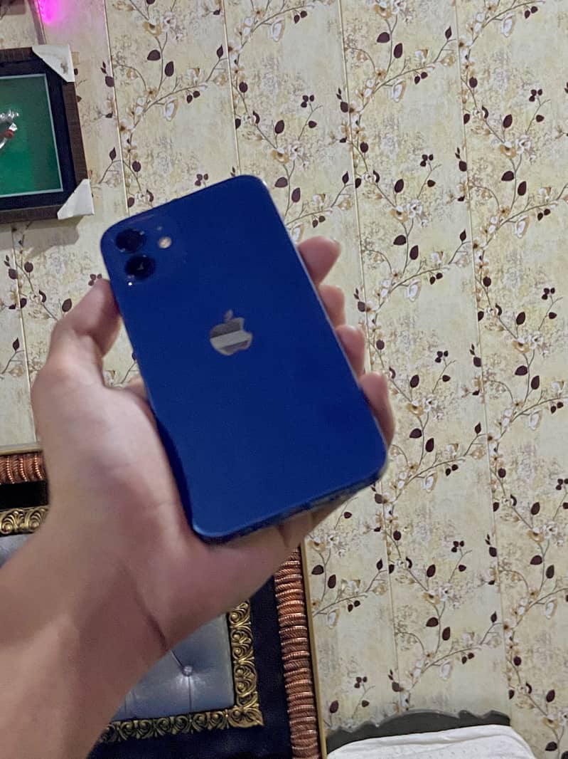 iPhone 12 1