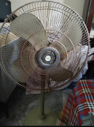 Original Royal Stand Fan