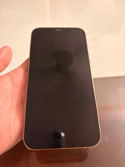 IPhone 12 Pro PTA approved