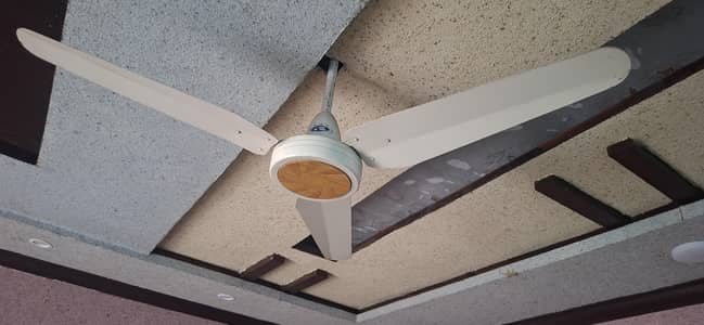 celing fan on cheep rates