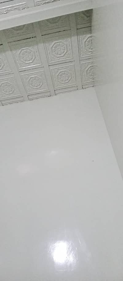 Professional Wall Painter & Wood Polish Specialist