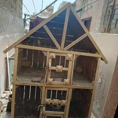 bird cage