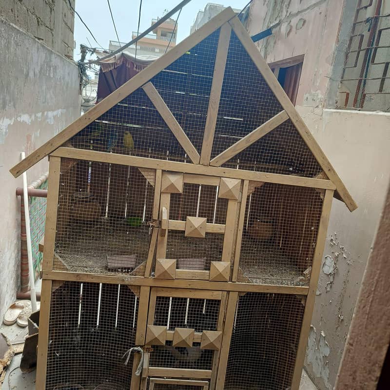 bird cage 0
