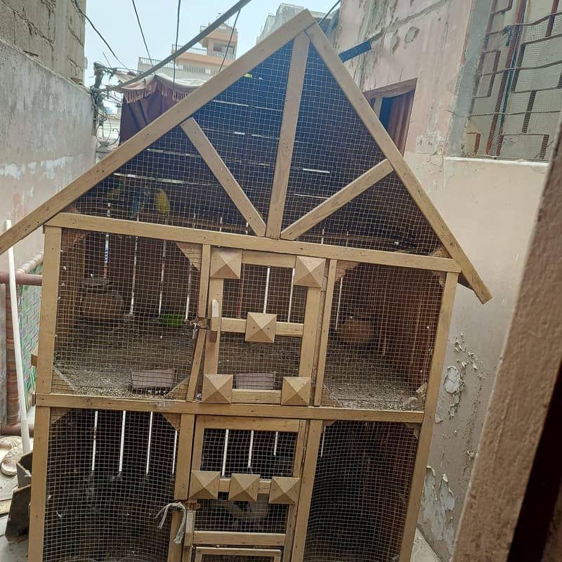 bird cage 1