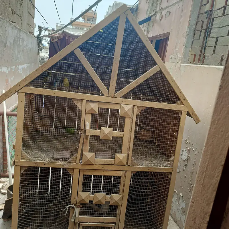 bird cage — photo 2
