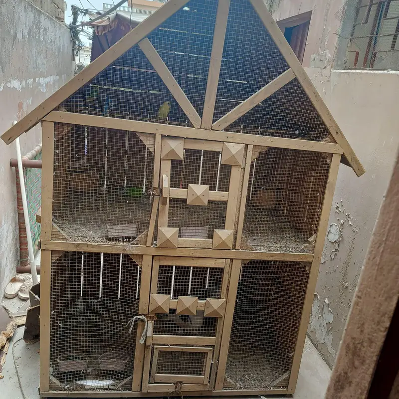 bird cage — photo 3