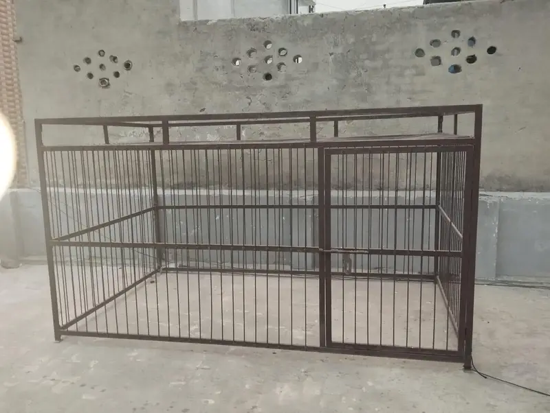 Big Cage — photo 2
