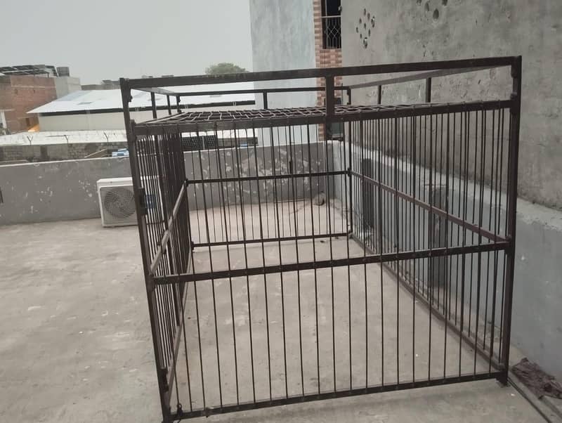 Big Cage 2