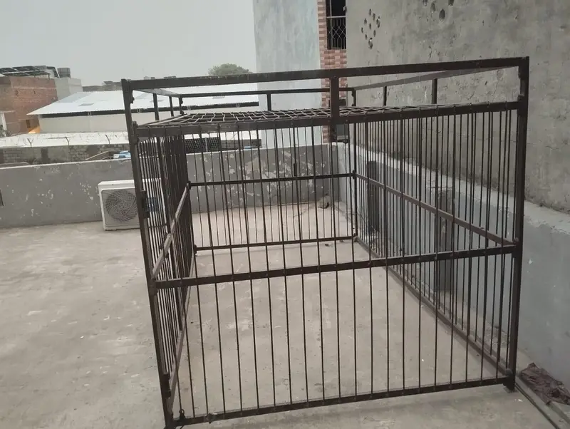 Big Cage — photo 3
