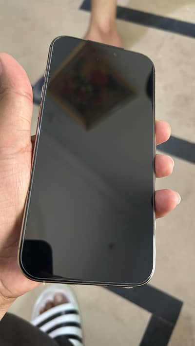 IPhone 16 Pro Max (JV)