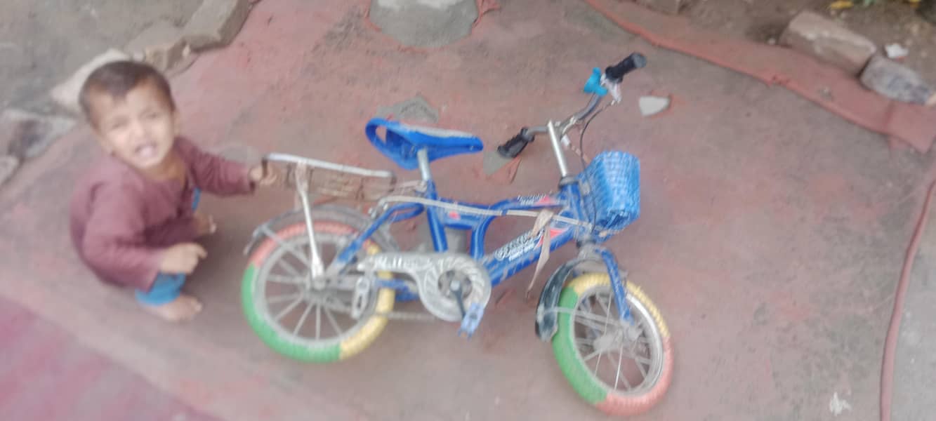 cycle 0