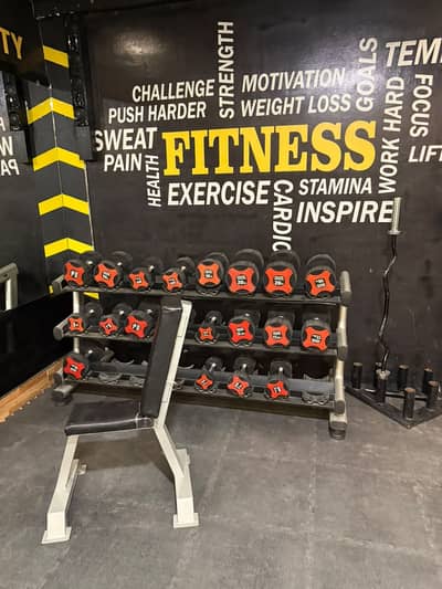 Dumbbells / Weight plates / Fitness machine / Exercise cycle