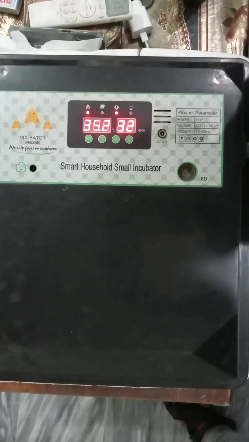 Egg Incubator Forsale 03007646448 — photo 2