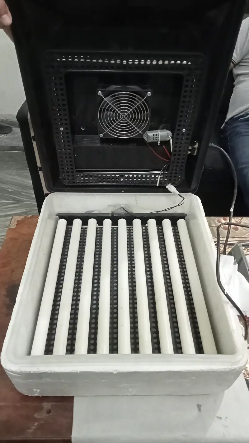 Egg Incubator Forsale 03007646448 — photo 3