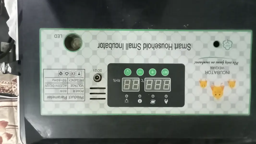 Egg Incubator Forsale 03007646448 — photo 4