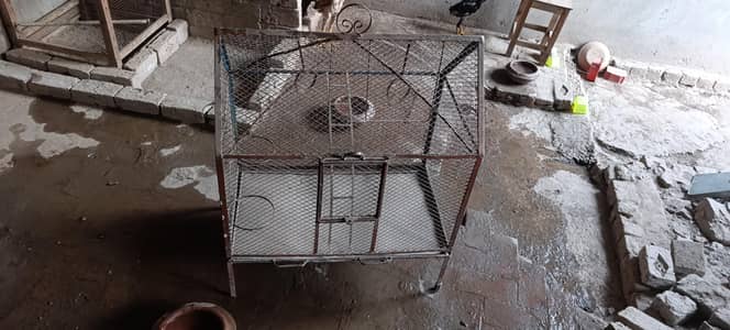 Cage for parrots and aseel