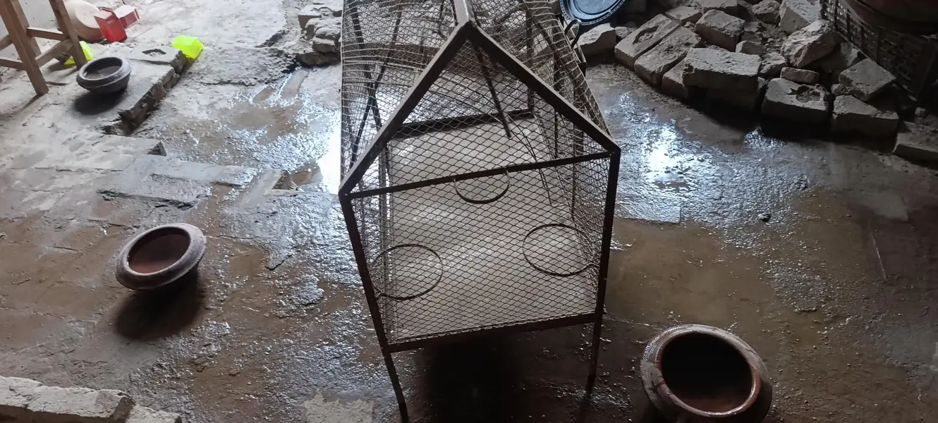 Cage for parrots and aseel — photo 2