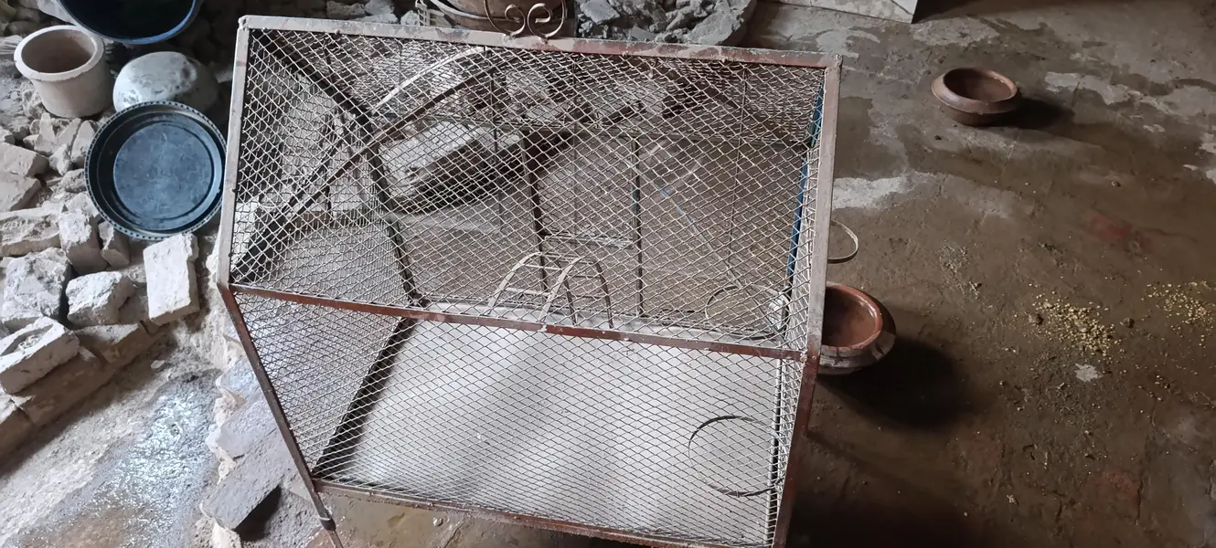 Cage for parrots and aseel — photo 3