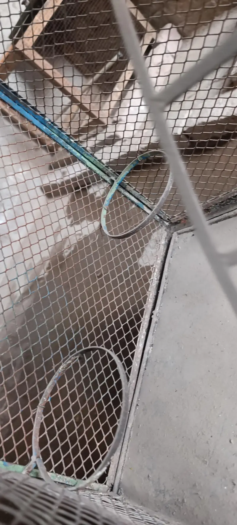 Cage for parrots and aseel — photo 4