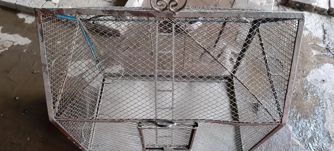 Cage for parrots and aseel — photo 5