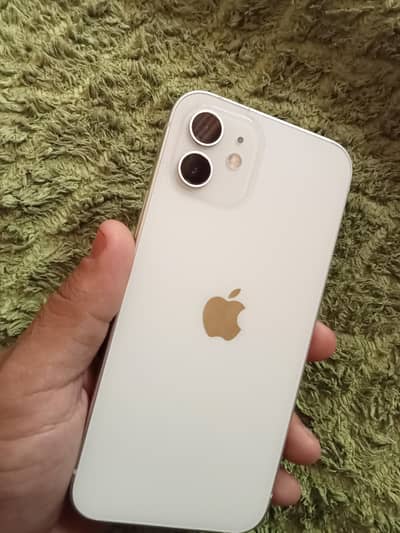 Apple iPhone 12