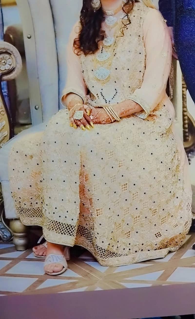 walima maxi 3