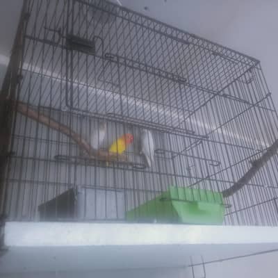 cage . 2*1.5